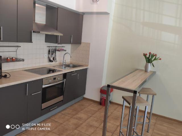 Luxapartament 3 - Z Duzym Tarasem I Garazem W Zeta Park Ustroń Esterno foto