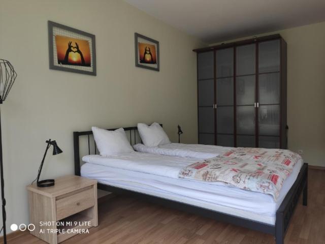 Luxapartament 3 - Z Duzym Tarasem I Garazem W Zeta Park Ustroń Esterno foto